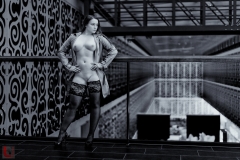 1_LR_03540