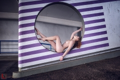 LR007013