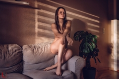 LR_12099