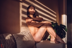 LR_12102