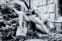 AED_9733