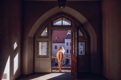 LR006365