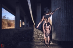 LR_00186