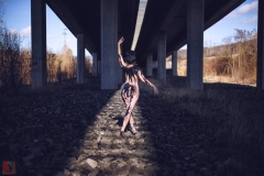LR_00191