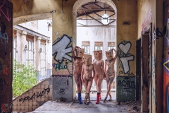 LR_01196