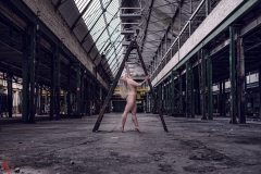 LR_01331