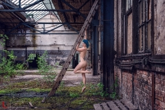 LR_02781