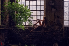 LR_02825