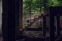 LR_03196