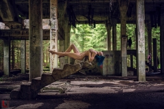 LR_03209