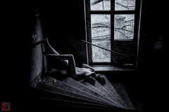 LR_03805