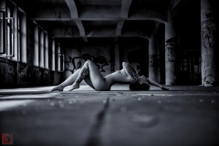 LR_04251