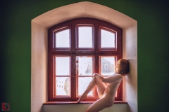 LR_07953