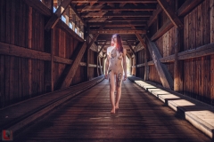 LR_08371