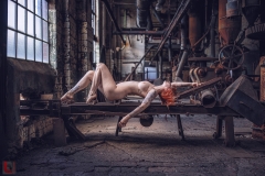 LR_10736