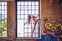 LR_11008