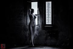 LR_12275