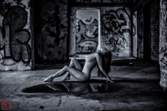 LR_12590_1