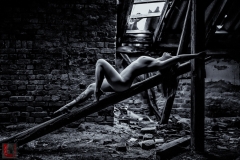 LR_12611_1