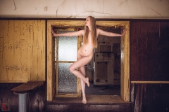 LR_13486