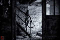 LR_14102