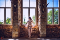 LR_14233