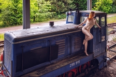 LR_15163