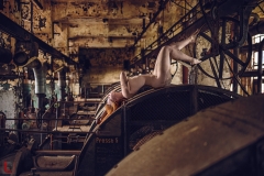 LR_15190