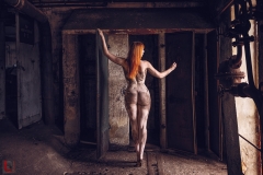 LR_15294