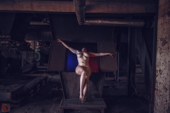 LR_15331