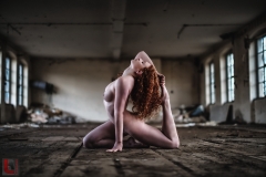 LR_15408