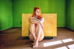 LR_17299