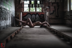 LR_17314