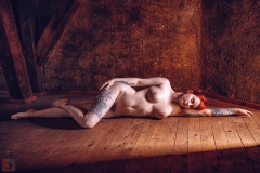 LR_17331