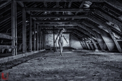 LR_18142