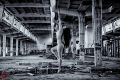 LR_19463_1