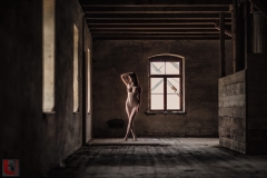 LR_19545