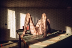 LR_22244