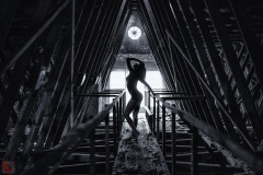 LR_26639