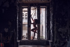 LR_26694