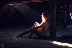LR_27241