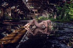 LR_29681