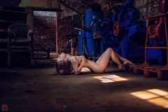 LR_29939