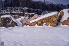 LR_01137