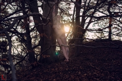 LR_01475