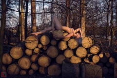 LR_01623