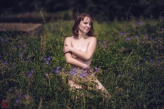 LR_02488