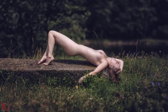 LR_02490
