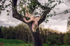 LR_02557