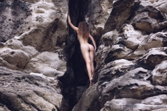LR_03980